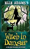 Witch in Danger