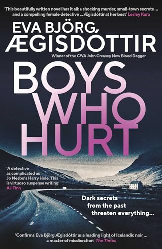 Boys Who Hurt book cover