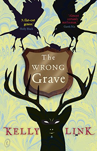 The Wrong Grave book cover