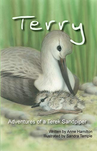 Cover of Terry