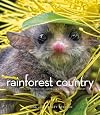 Rainforest Country: An Intimate Portrait of Australia's Tropical Rainforest