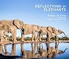 Reflections of elephants