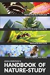 Handbook of Nature Study in Color: Insects
