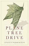 Plane Tree Drive