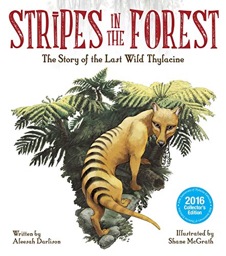 Cover of Stripes in the Forest