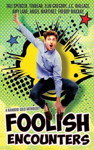 Foolish Encounters book cover