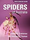 Reed Concise Guide Spiders of Australia