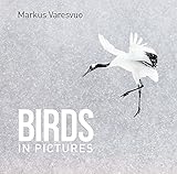 Birds In Pictures