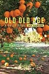 Old old age : a brief guide