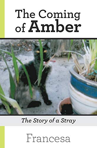 Cover of Coming of Amber