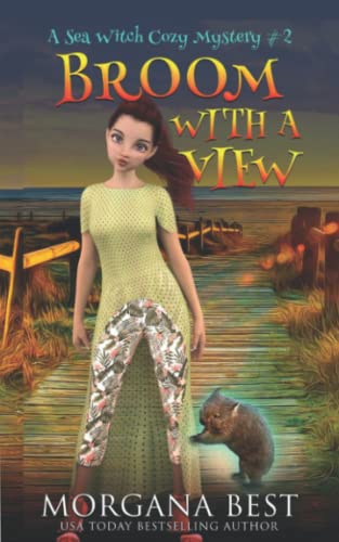 Broom With a View cover