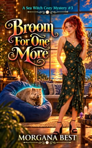 Broom for One More book cover