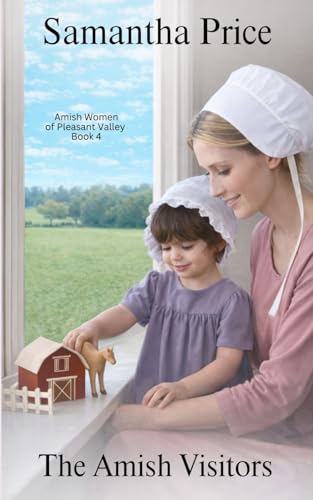 The Amish Visitors book cover