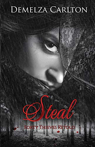 Steal: Forty Thieves Retold book cover