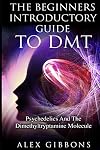 The Beginners Introductory Guide To DMT - Psychedelics And The Dimethyltryptamine Molecule (2) (Psychedelic Curiosity)