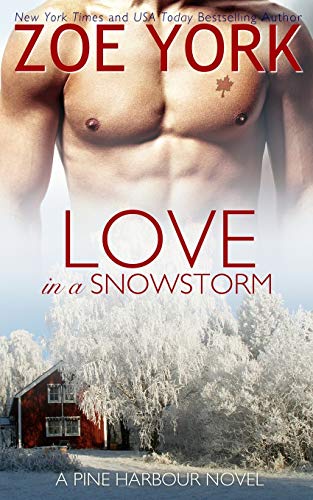 Love in a Snow Storm book cover