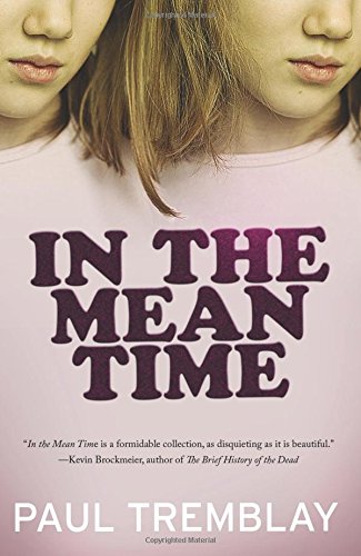 In the Mean Time book cover