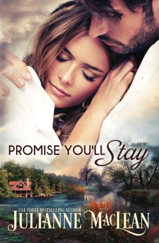 Promise You'll Stay book cover