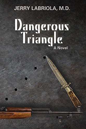 Dangerous Triangle book cover