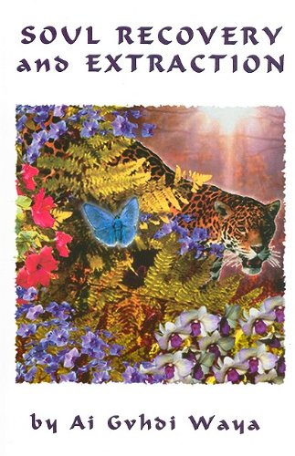 Soul Recovery and Extraction book cover
