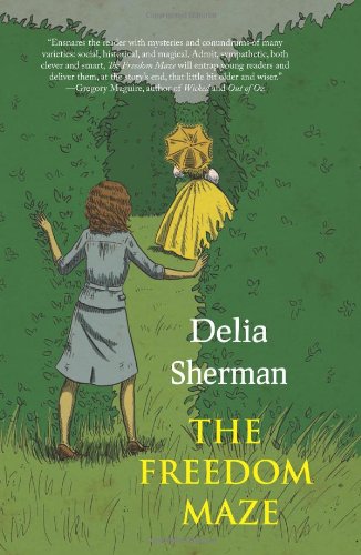 The Freedom Maze book cover