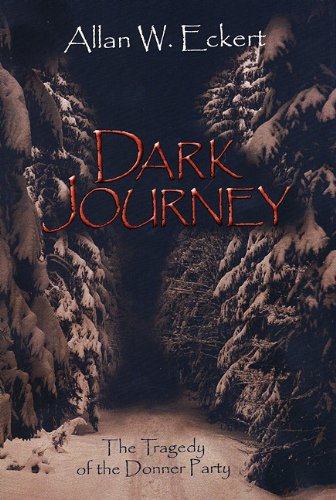 Dark Journey book cover