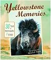 Yellowstone Memories: 30 Years of Stories and Photos
