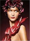 Graphis Photography Annual 2009 (Graphis Photo Annual)