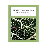 Plant Anatomy