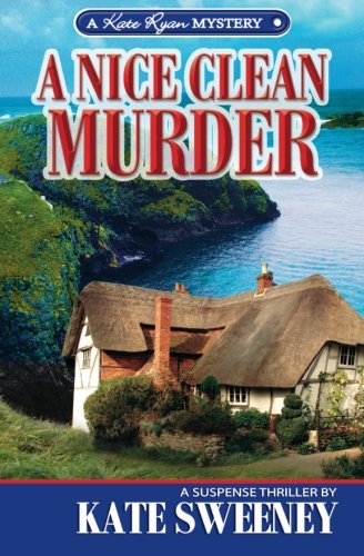 A Nice Clean Murder book cover