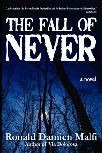 The Fall of Never book cover