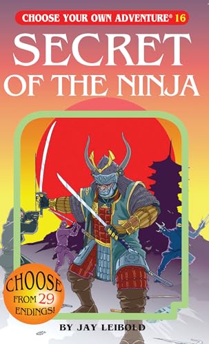 Secret of the Ninja / by Leibold, Jay