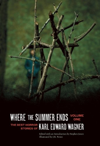 Where the Summer Ends book cover