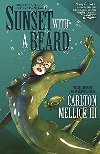 Sunset With A Beard book cover