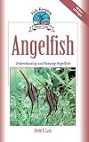 Angelfish understanding and keeping angelfish