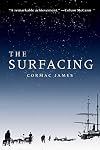 The Surfacing