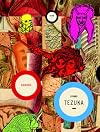 Dororo, Volume 1 (English Translation)