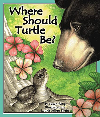 Where Should Turtle Be? book cover