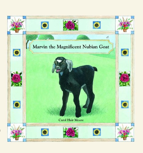 Cover of Marvin the magnificent Nubian goat
