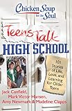 Chicken Soup For The Soul Teens Talk High School 101 Stories Of Life Love And Learning For Older Teens