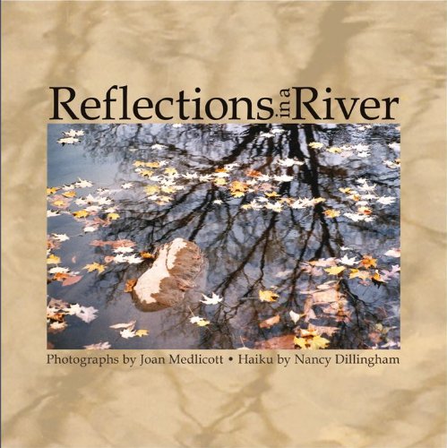 Reflections in a River book cover