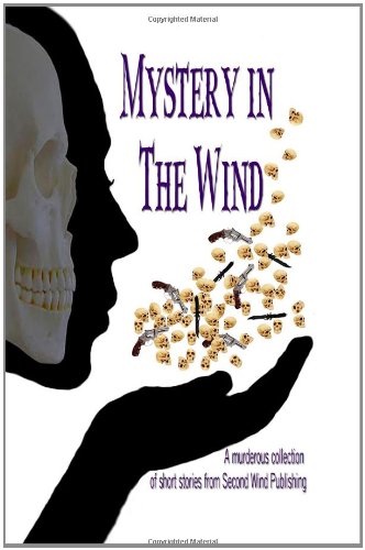 Mystery in the Wind book cover