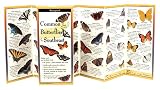 Common Butterflies Of The Southeast Folding Guide Foldingguides