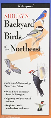 Sibley's Backyard Birds of New England & Northern New York book cover