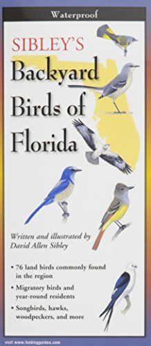 Sibley's Backyard Birds of Florida book cover