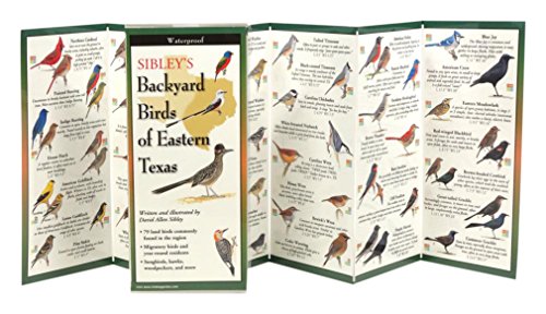 Sibley's Backyard Birds of Eastern Texas book cover