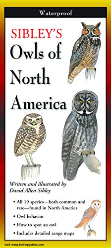 Sibley's Owls of North America book cover