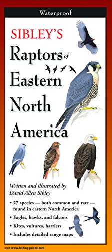 Sibley's Raptors of Eastern North America book cover