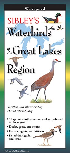 Sibley's Waterbirds of the Great Lakes book cover