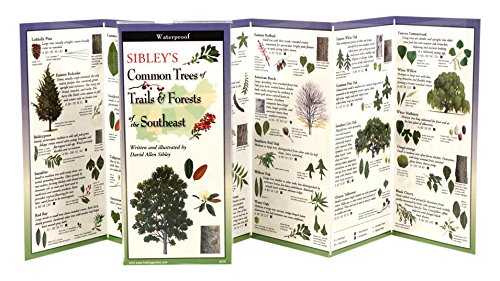 Sibley's Trees of Trails & Forests of the Southeast book cover
